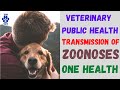 Transmission of zoonosesone health