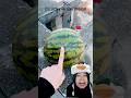suka apa⁉️ sc: Lucky-watermelon #shortvideo #shorts #viral