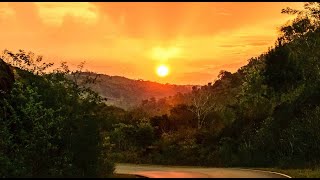 SALTO ENCANTADO: AROMAS Y SONIDOS DE LA SELVA - ARISTÓBULO DEL VALLE - MISIONES - ARGENTINA