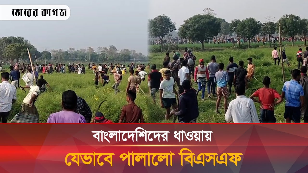 সীমান্তে গাছ কেটে নিয়েছে বিএসএফ, চরম উত্তেজনা | BGB | Shibgong | BSF | bhorer kagoj