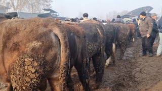 Намаган уч кургон мол бозори