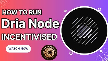 Dria Node Incentivized Tutorial: Easy Setup with Automated Script