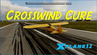 How to Land Taildraggers in Crosswinds | X-Plane 12 Tutorial