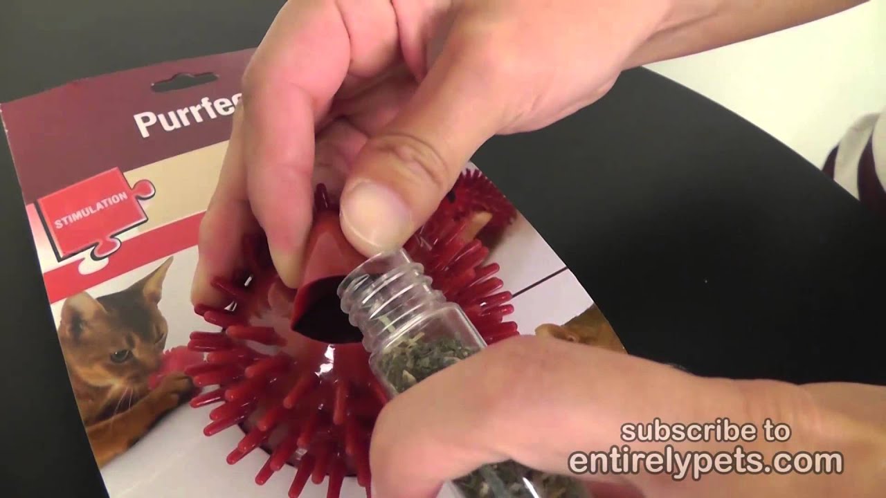 Petlinks Purrfect Scent Catnip massage toy