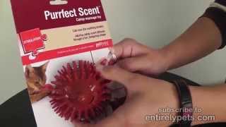 Petlinks Purrfect Scent Catnip massage toy screenshot 4