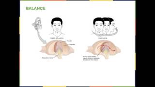Biology week 3 D 2