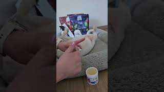 🐾 Mazilo za tačke in smrček – naravna zaščita za vašega psa/mačko