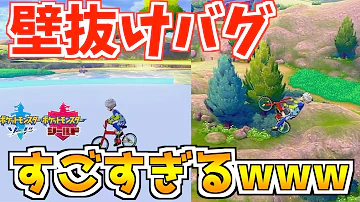 ソードシールドバグ