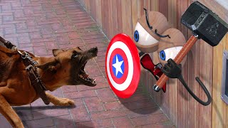 Try Not To Laugh🤪 Funny Moments Of Dogs With Doodle 😅#9 WOA Doodoo screenshot 4