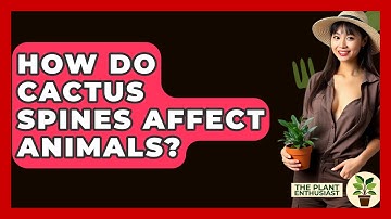 How Do Cactus Spines Affect Animals? - The Plant Enthusiast