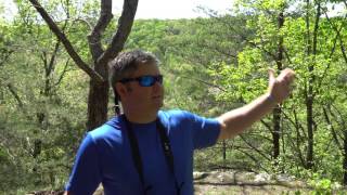 DJI Phantom 4 Landing in Challenging Locations