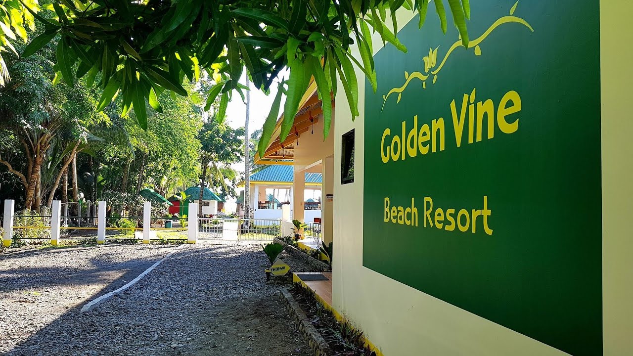 GOLDEN VINE BEACH RESORT, INFANTA QUEZON YouTube