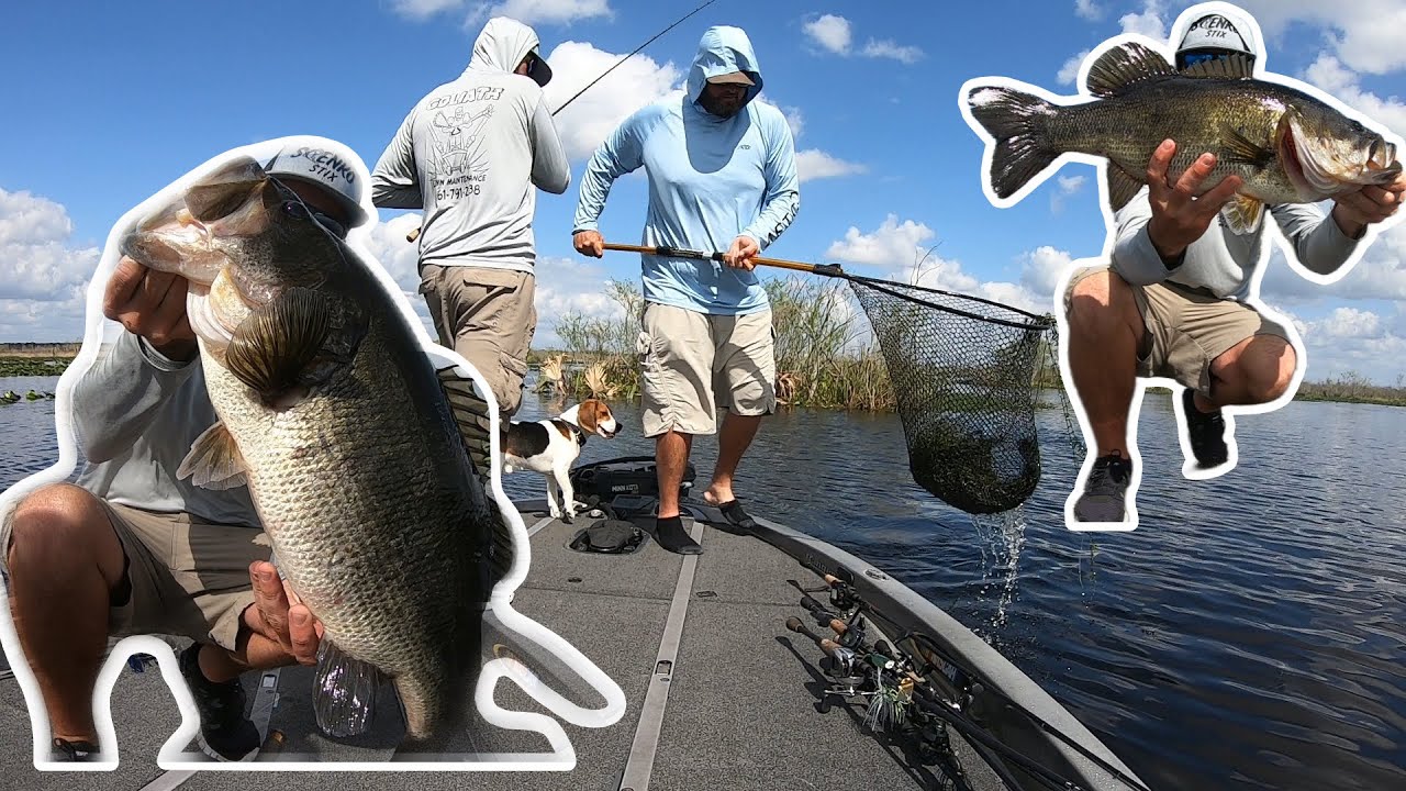 Orange Line Bass Fishing Challenge (Interesting Results!) 