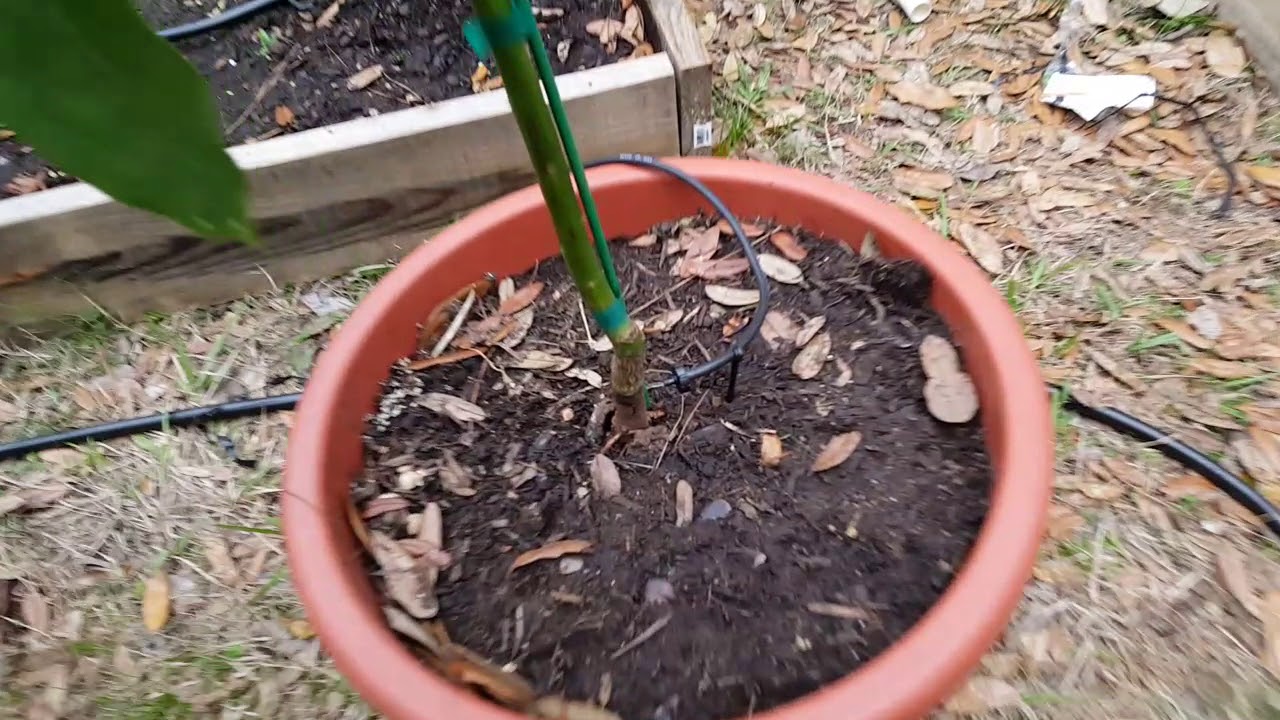Garden irrigation 2.0 - drip system