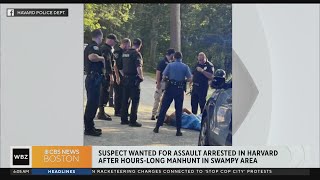 Shirtless assault suspect arrested in swamp off Route 495 in Harvard after manhunt