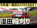 湿田稲刈り！今年一発目のハマりとなるか？ハマり王のプロの技見せます！（RICE IS COMEDY®︎）