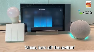 SMATEK S9E 10.1" Tuya Smartlife HD LCD Central Control Panel Work with Alexa Echo Voice Control