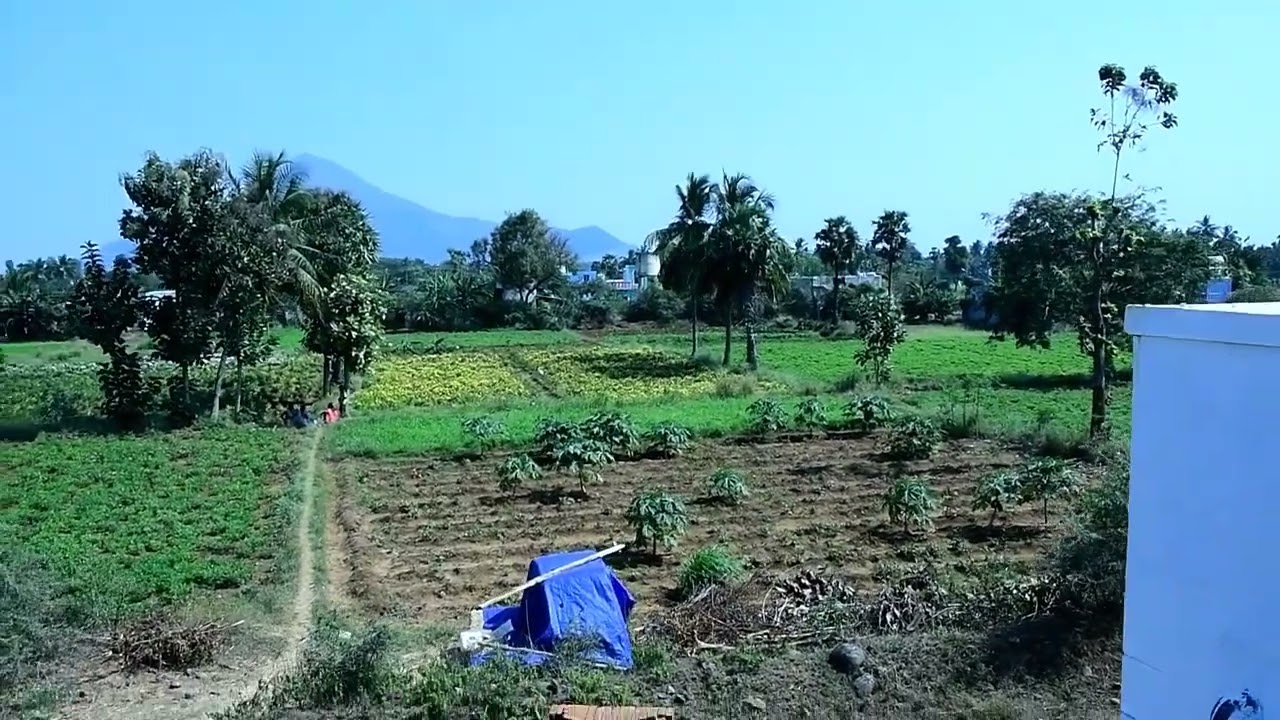 ₹3.25 Lakh/Cent | 20 Cents Land Near Girivalam Path, Tiruvannamalai