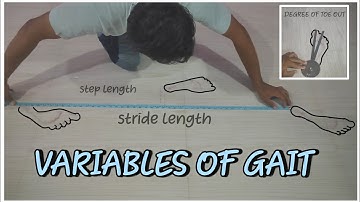 Variables of gait cycle | How to measure variables of gait cycle? |physio by heart