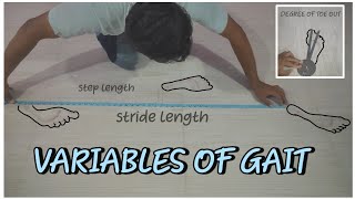 Variables of gait cycle | How to measure variables of gait cycle? |physio by heart Wealth