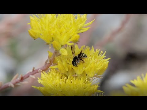 Abwärts in enge Felsspalten - Höhlenerkundung