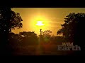 WildEarth - Sunrise Safari - 2 May 2020