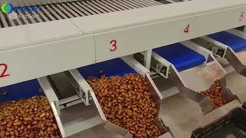 Dates Cleaning and Grading Machine; Dates polishing machine;