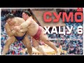 СУМО НА РУССКОМ! Хацу 6! Sumo