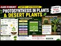 Life Processes One Shot | Photosynthesis &amp; Desert Plants for Boards | With PYQs | Important Question
