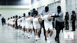 Federal judge: 'Nazis got better treatment' than Venezuelan migrants deported this month
