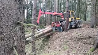 Work in the forest with STIHL MS 500i together with WELTE 100, part 145