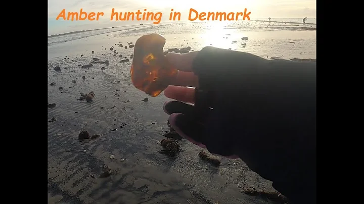 Day trip for amber hunting on the west coast of De...