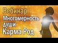 Многомерность Души  Карма  Род