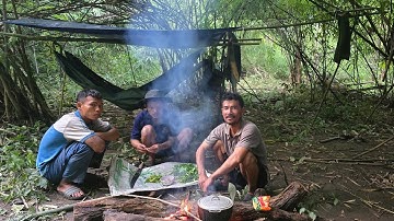 CUỘC SỐNG NGƯỜI RỪNG.TRẢI NGHIỆM SĂN BẮT GÀ RỪNG THỨC ĂN NGƯỜI RỪNG 