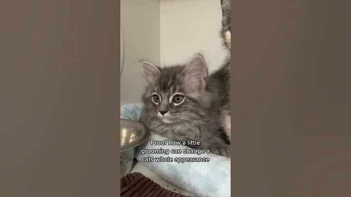 Haircuts make a world of difference!