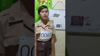 tugas sekolah strada kelas 6 D|| ujian praktik IPA menjelaskan rantai makanan