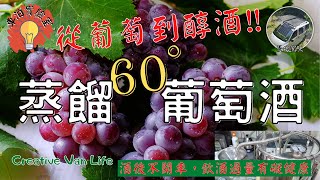 DIY【60度蒸餾水果酒？】葡萄酒快速發酵黃金比例與釀造方法｜回家幸福60度香醇葡萄酒｜最便宜的葡萄購買市場曝光《車泊實驗室ep05》