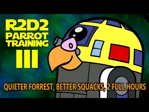 2 Hours of Ultimate R2D2 Parrot Training