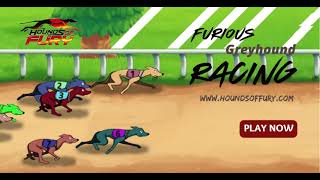 Hounds of Fury : Greyhound Racing on mobile and PC screenshot 4