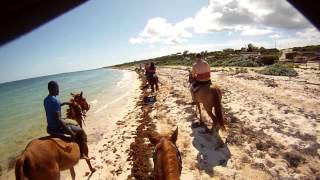 Download Lagu HORSEBACK RIDING IN GRAND TURK CARRIBEAN ISLAND MP3