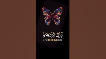 ان الله وملائكته يصلون على النبي 🧡| حالات وتس اب | تلاوة خاشعة جميلة😌❤️ | ستوريات #قران_كريم