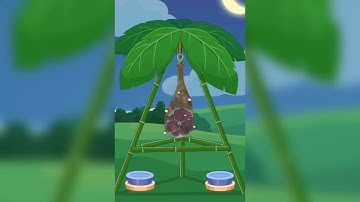 Tidy Master Level 99 Walkthrough Solution