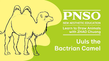 016 Uuls the Bactrian Camel | Learn to Draw Animals with ZHAO Chuang
