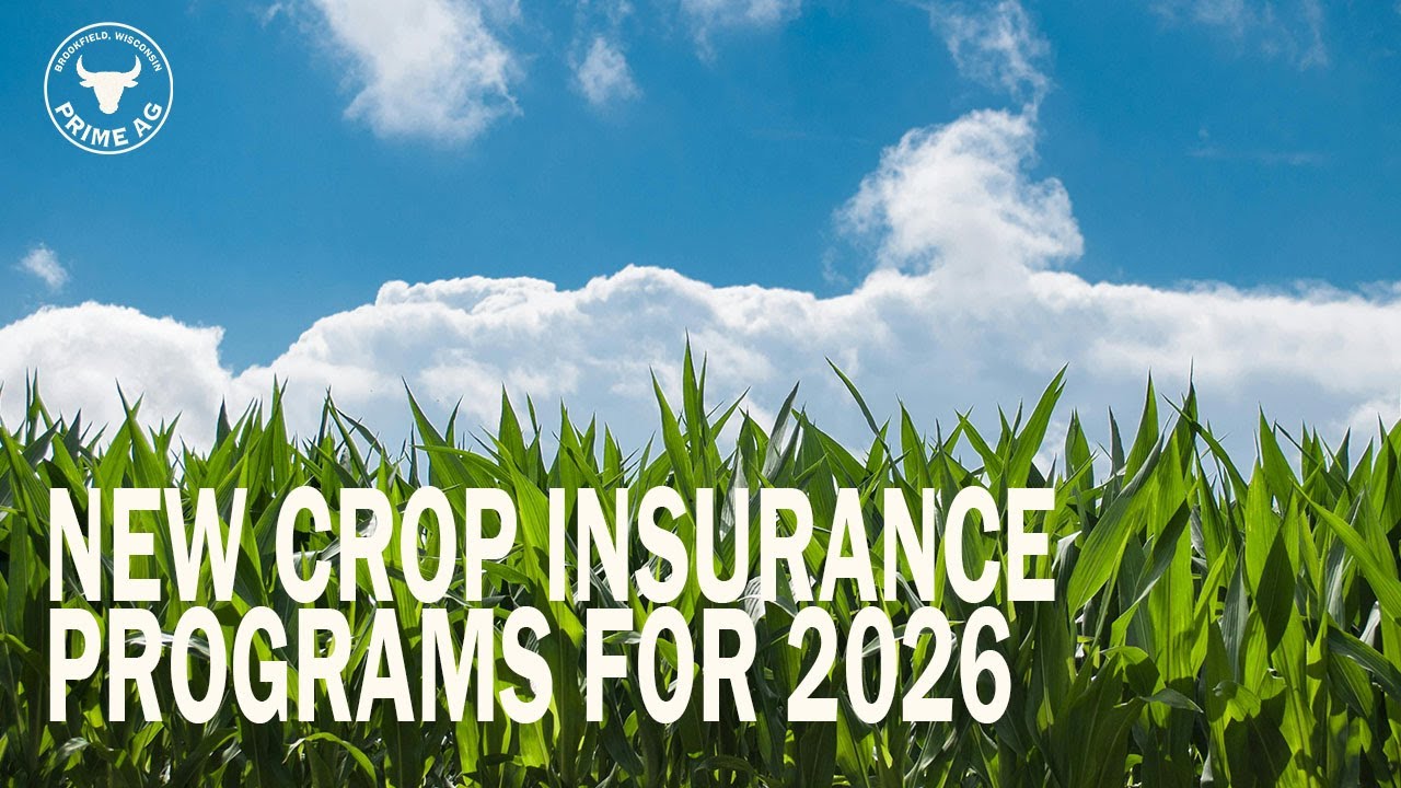 New Crop Insurance Programs for 2026 | MCO