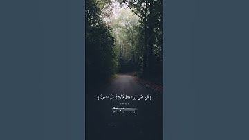 قد افلح المؤمنون || ماهر المعيقلي #تلاوة #تلاوة_مميزة #تلاوة_خاشعة #قرآن #ماهر_المعيقلي