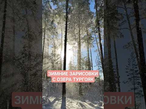 ЗИМНИЕ ЗАРИСОВКИ С ОЗЕРА #ТУРГОЯК #природаУрала #ЮжныйУрал #Челябинскаяобласть #слепойснег #снегидет
