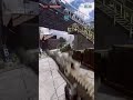 I keep hearing voices while playing😂😂 #battlefield #battlefield6 #funny #meme