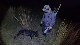 The War on Wild Hogs! by Wild Tails 243 views 4 years ago 13 minutes, 28 seconds