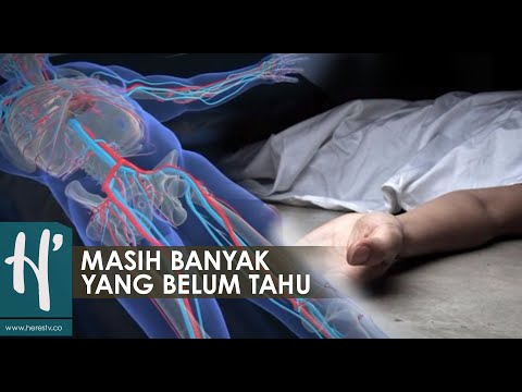 Bagian Tubuh Manusia yang Masih Aktif walau Sudah Meninggal