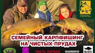 Семейный карпфишинг на чистых прудах. Часть первая